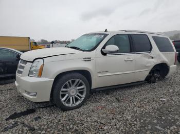  Salvage Cadillac Escalade