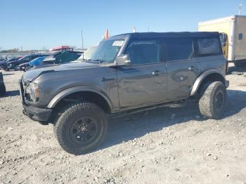  Salvage Ford Bronco