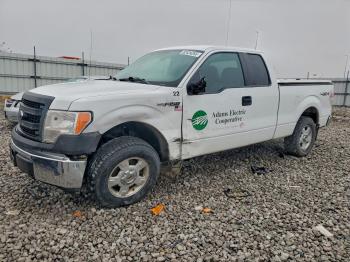  Salvage Ford F-150