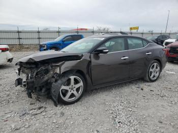  Salvage Nissan Maxima