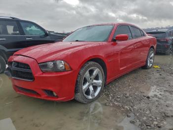 Salvage Dodge Charger