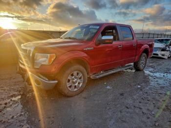  Salvage Ford F-150