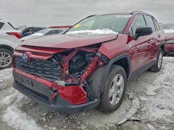  Salvage Toyota RAV4