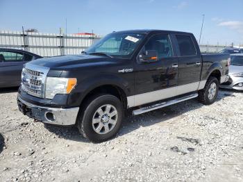  Salvage Ford F-150
