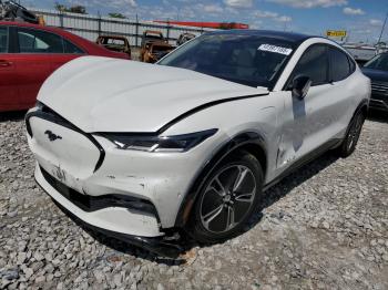  Salvage Ford Mustang