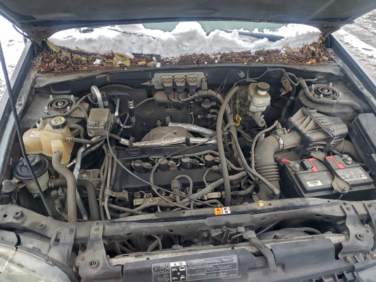 Ford Escape Xls Image 6