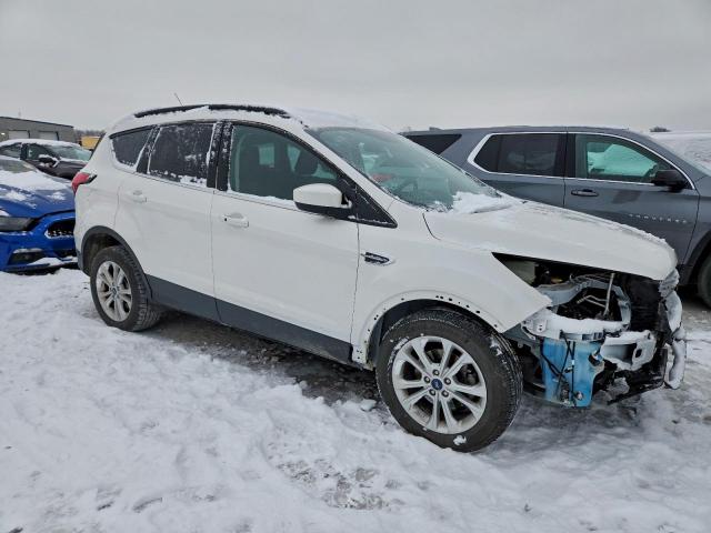 Ford Escape Sel Image 11