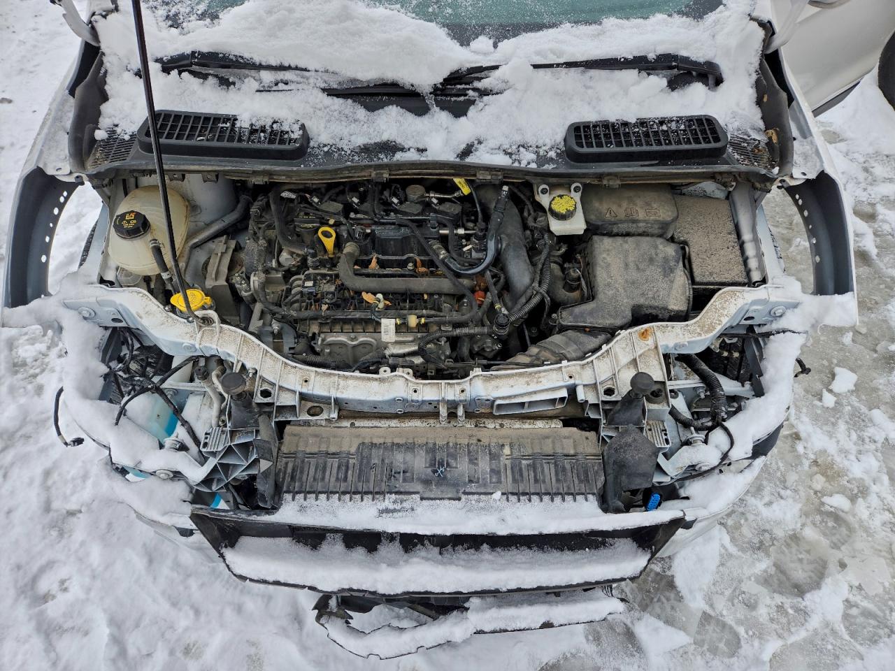 Ford Escape Sel Image 9