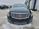 Cadillac XTS Luxury Collection Image 12