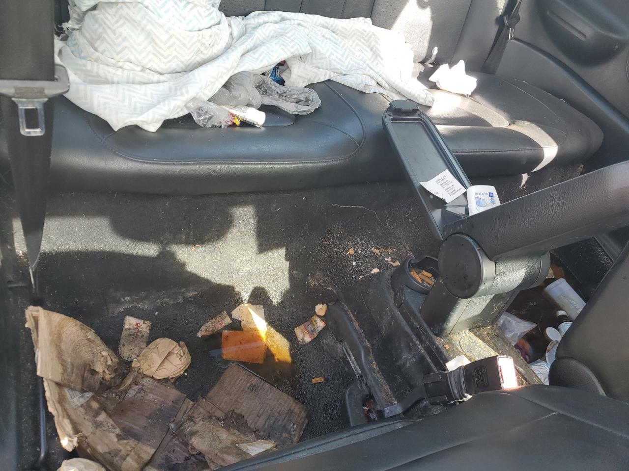 Volkswagen Beetle Image 10