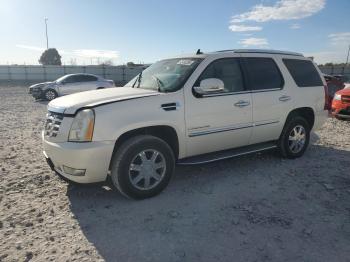  Salvage Cadillac Escalade