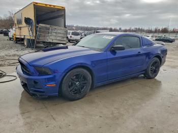  Salvage Ford Mustang