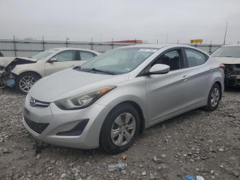  Salvage Hyundai ELANTRA