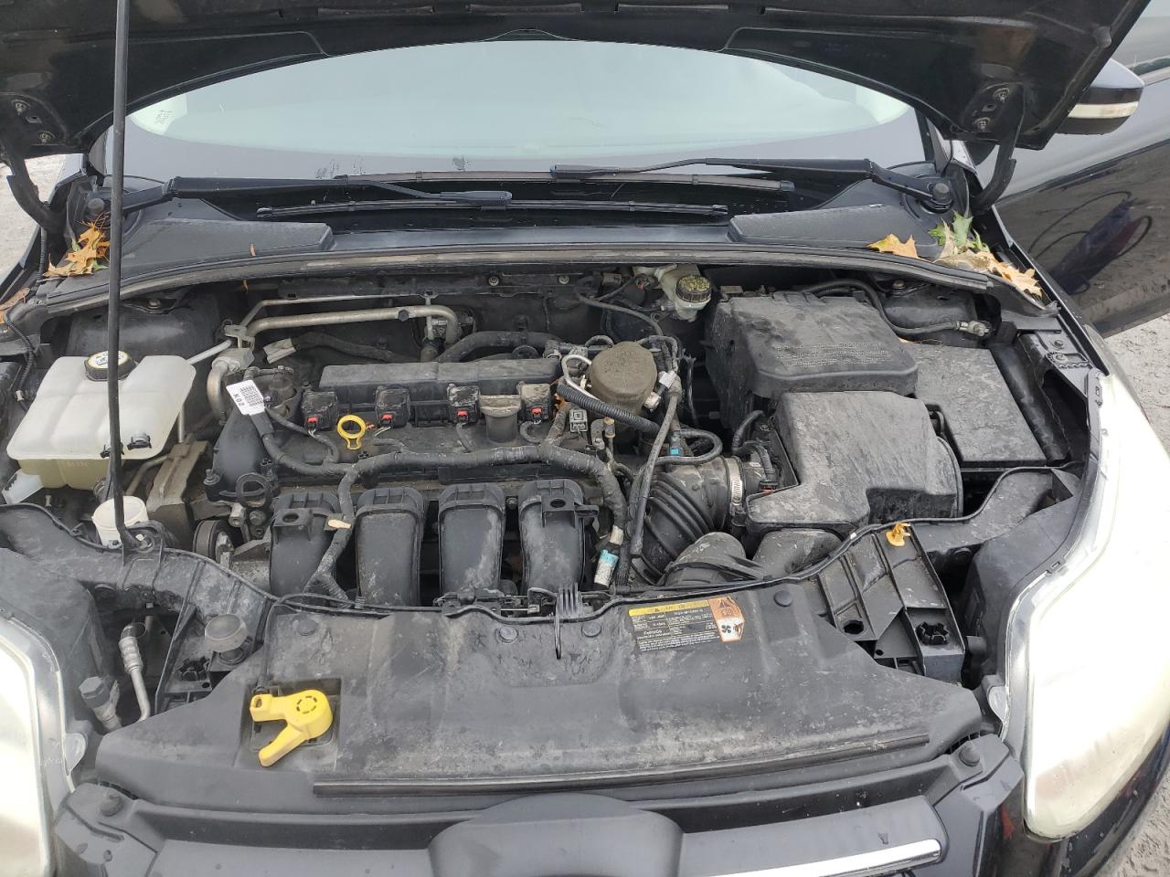 Ford Focus Se Image 10