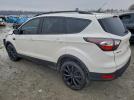 Ford Escape Titanium Image 11