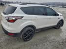 Ford Escape Titanium Image 6