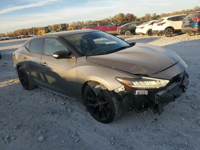 Nissan Maxima S Image 7