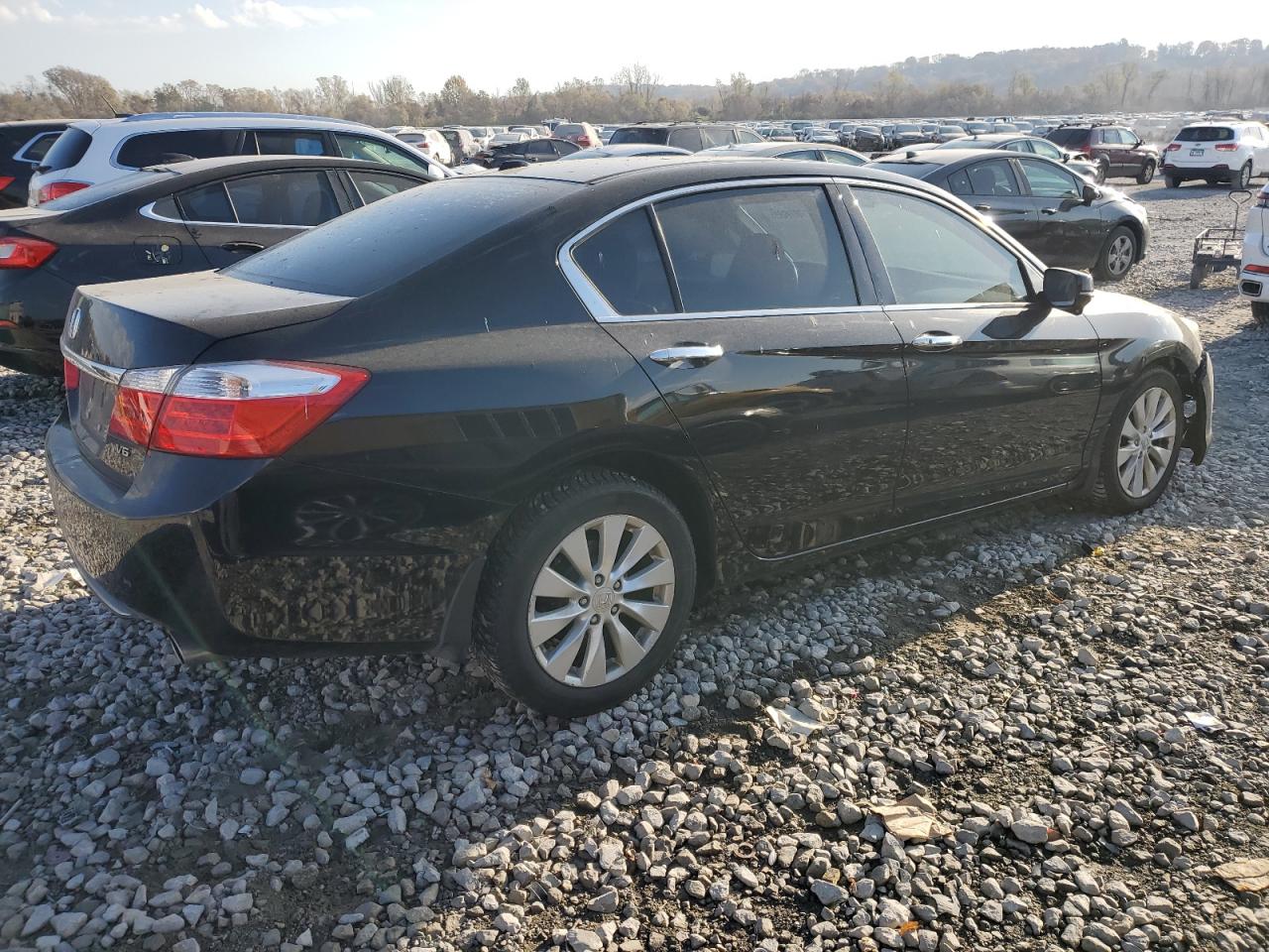 Honda Accord Exl Image 4