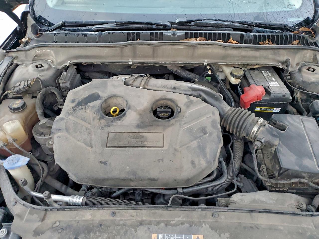 Ford Fusion Se Image 8