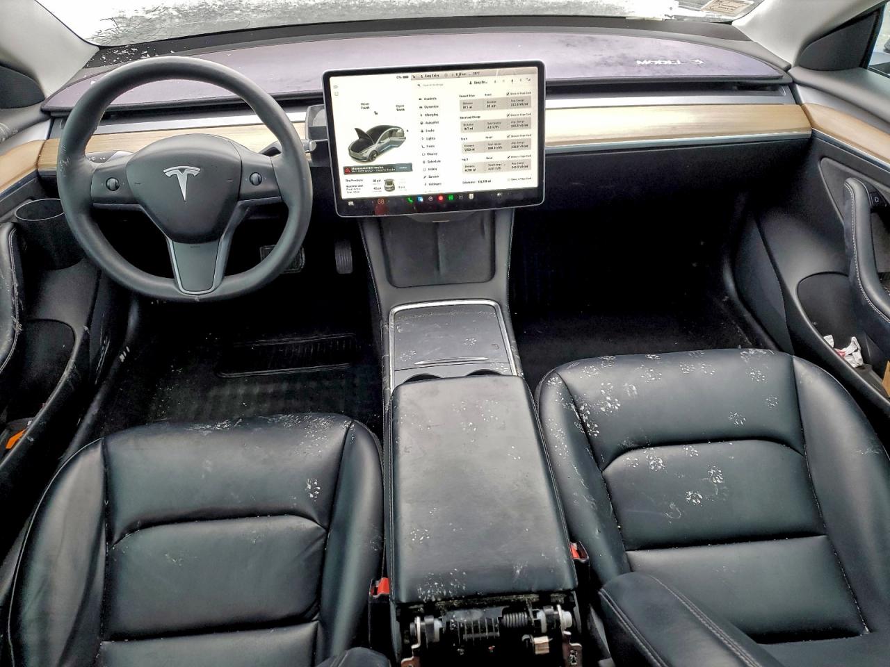 Tesla Model 3 Image 7