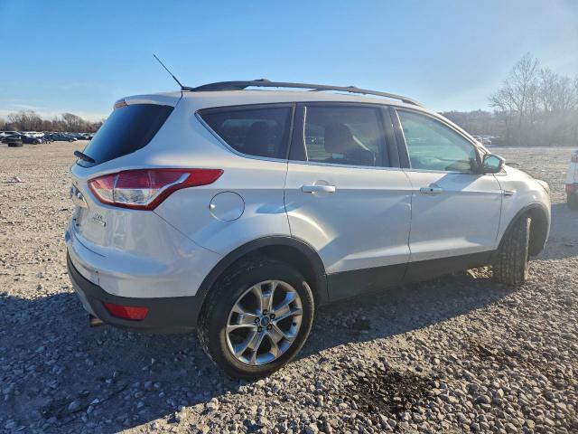 Ford Escape Sel Image 5