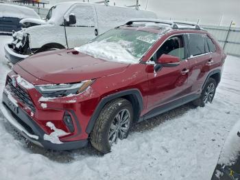  Salvage Toyota RAV4