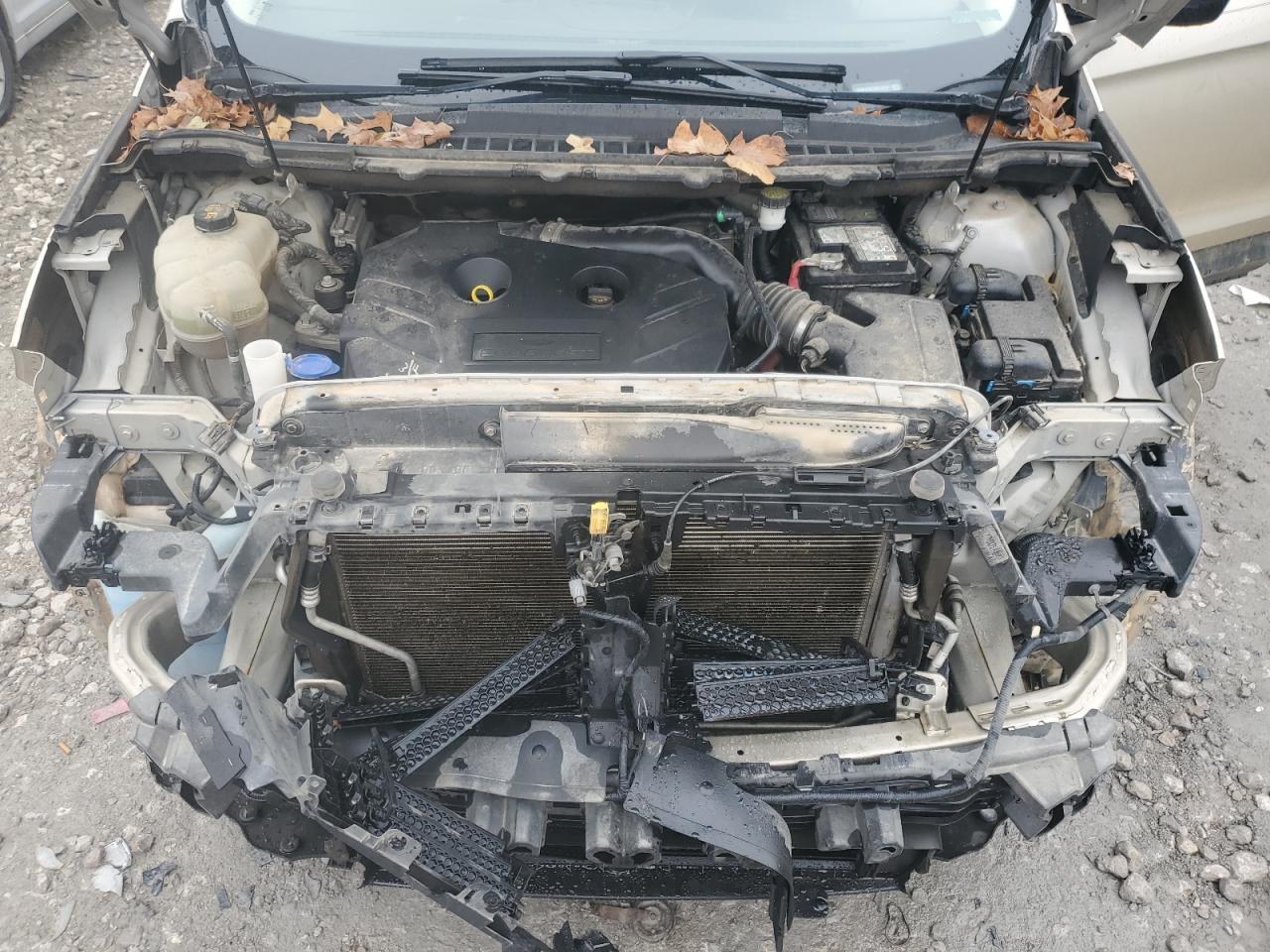 Ford Edge Se Image 13