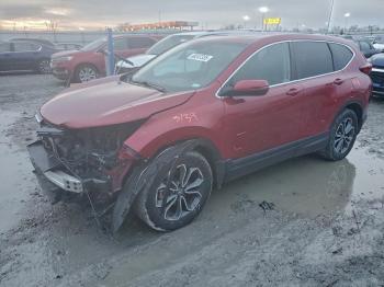  Salvage Honda Crv