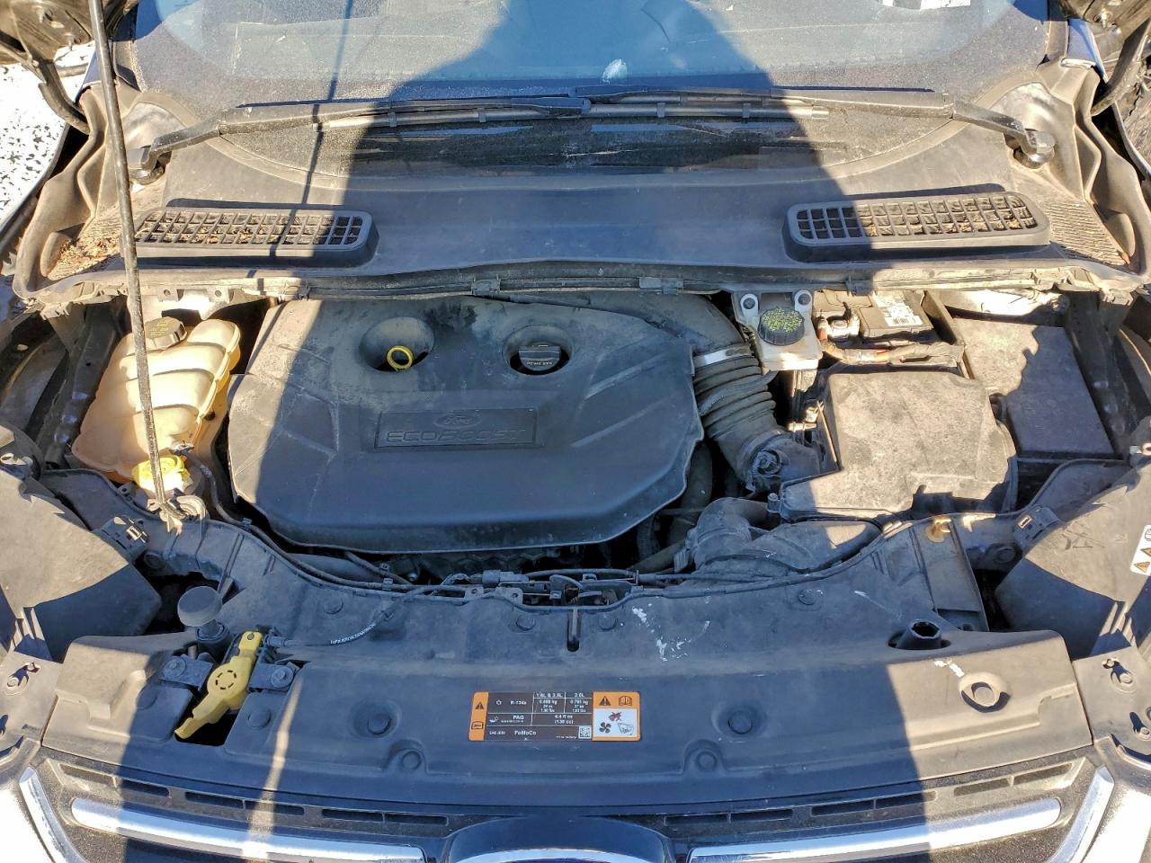 Ford Escape Titanium Image 9