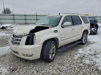  Salvage Cadillac Escalade