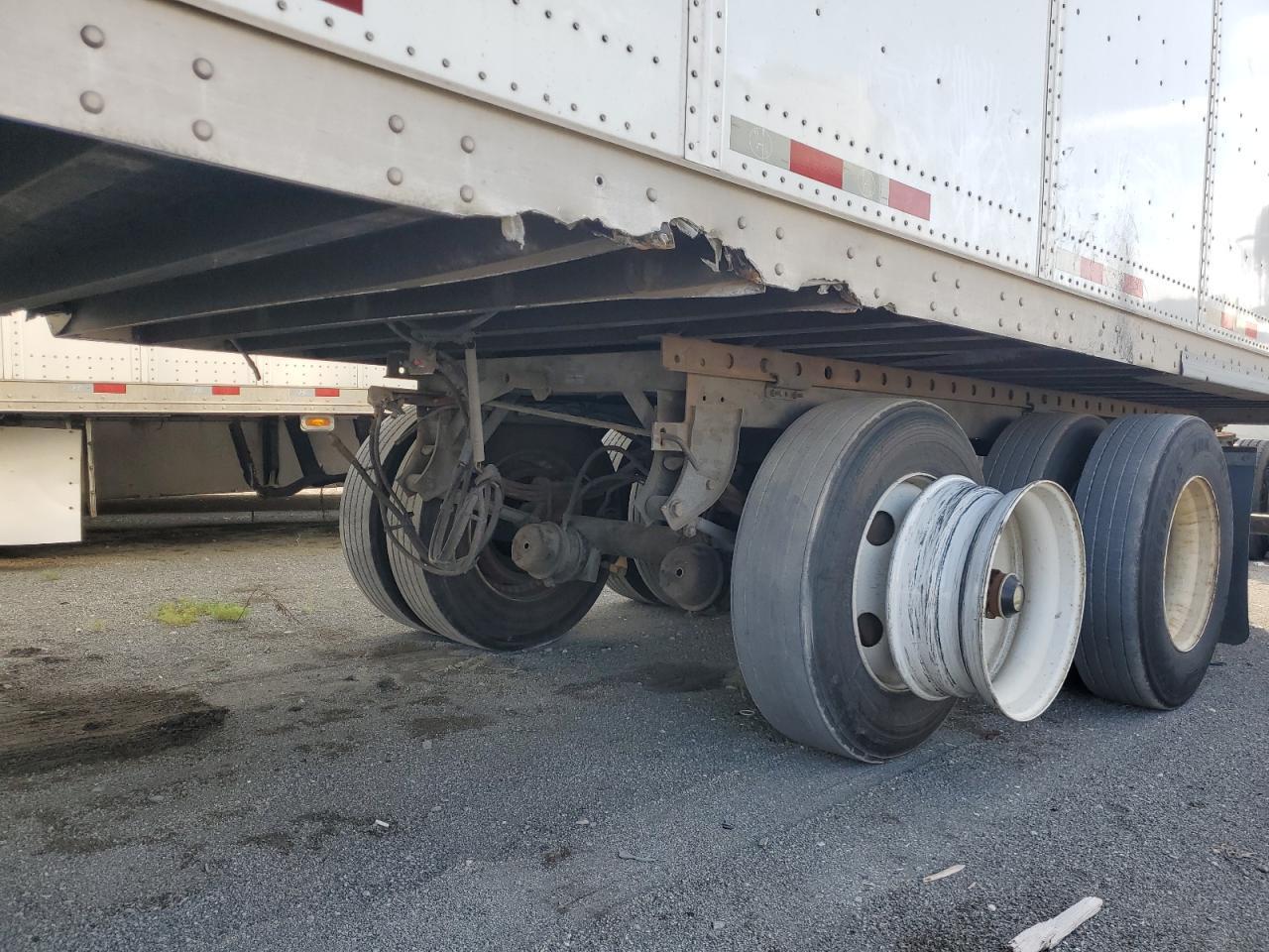 Great Dane Other Image 10