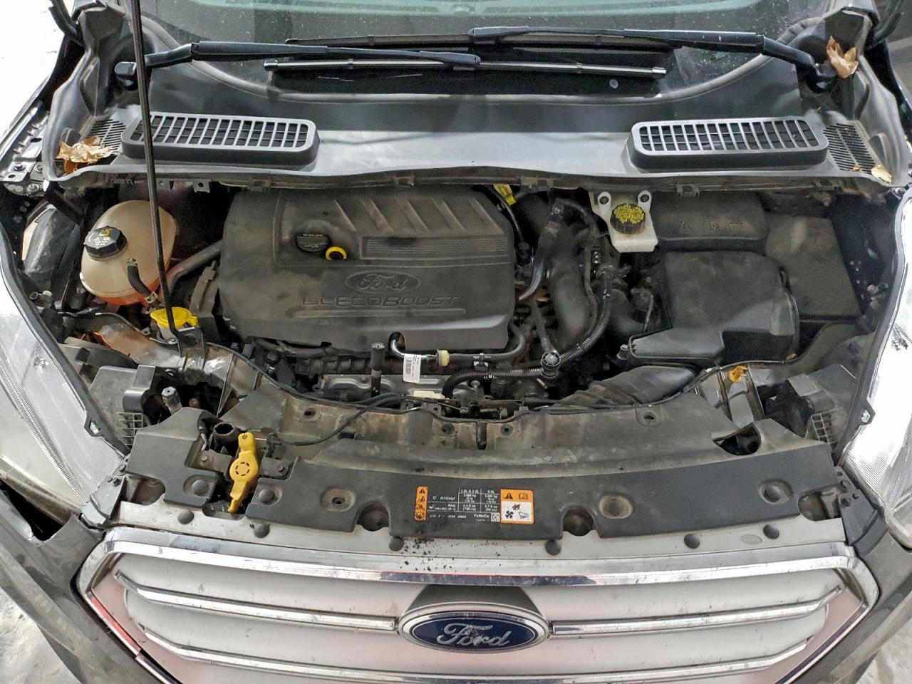 Ford Escape Se Image 8