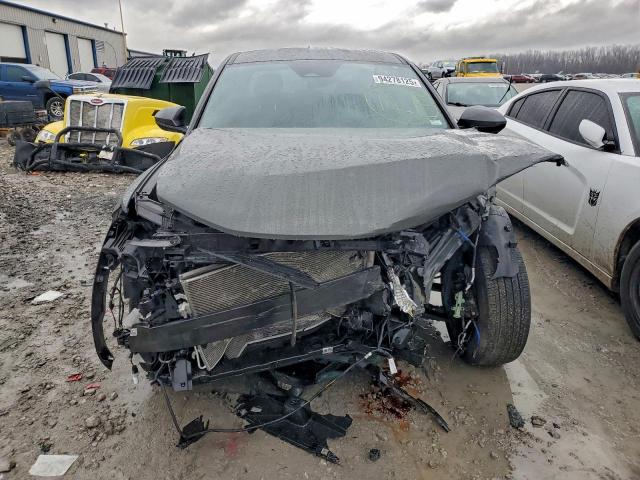 Hyundai SANTA CRUZ Se Image 2