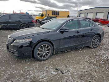  Salvage Acura TLX