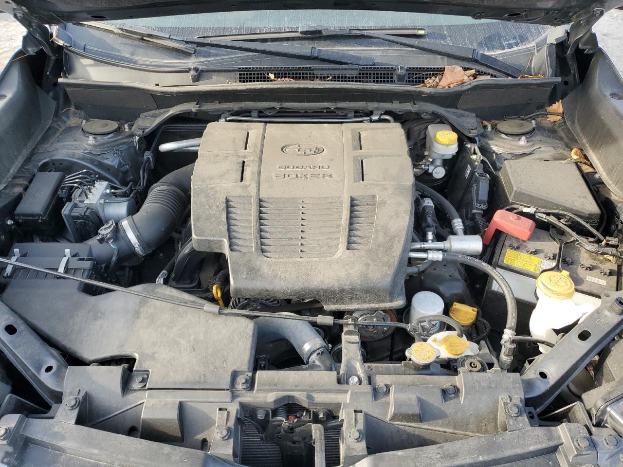 Subaru Forester Premium Image 10