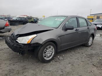  Salvage Ford Focus