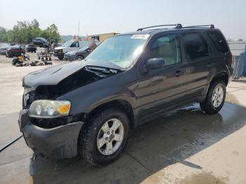  Salvage Ford Escape