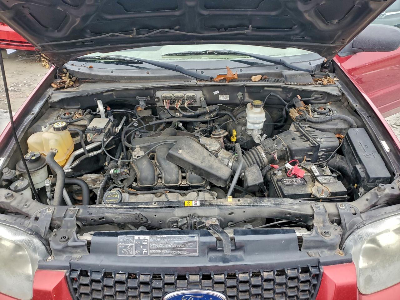 Ford Escape Xlt Image 10