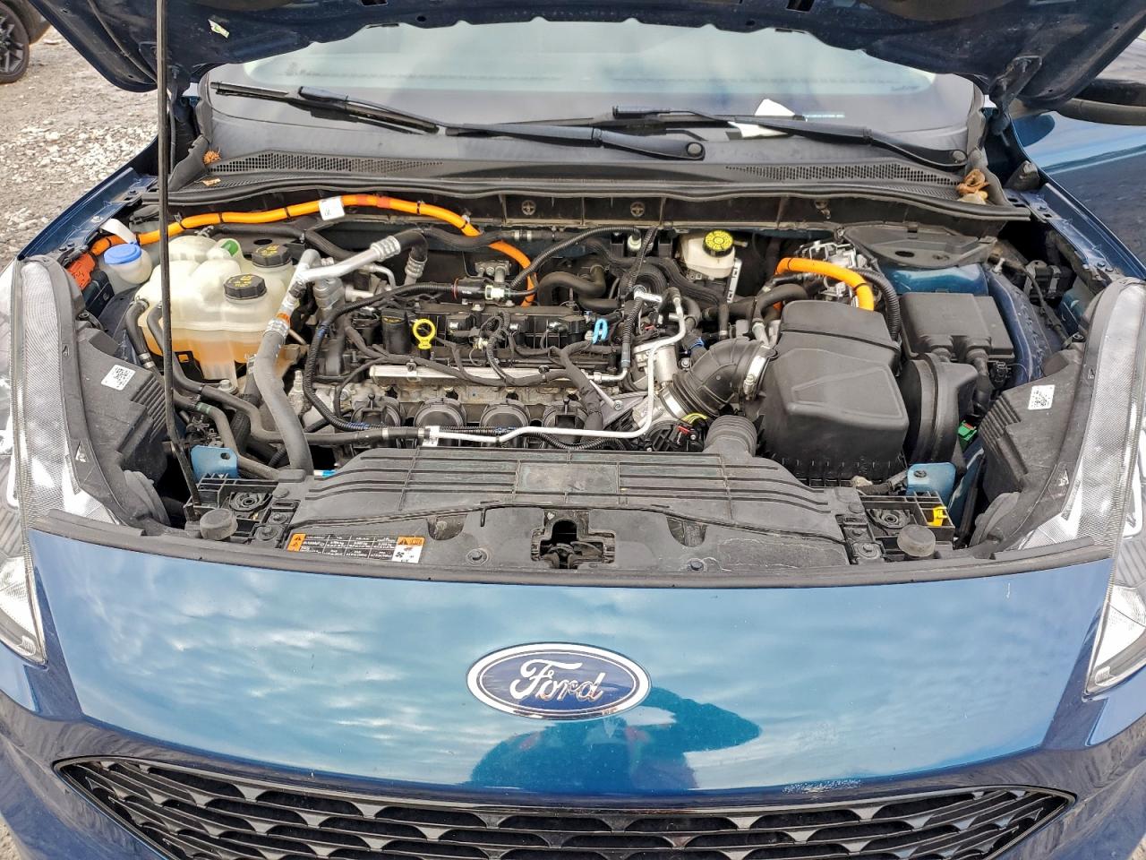 Ford Escape Se Sport Image 8