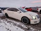 Cadillac XTS Luxury Collection Image 7
