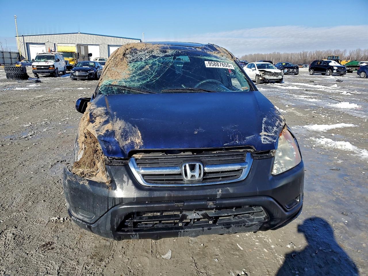 Honda Crv Ex Image 5