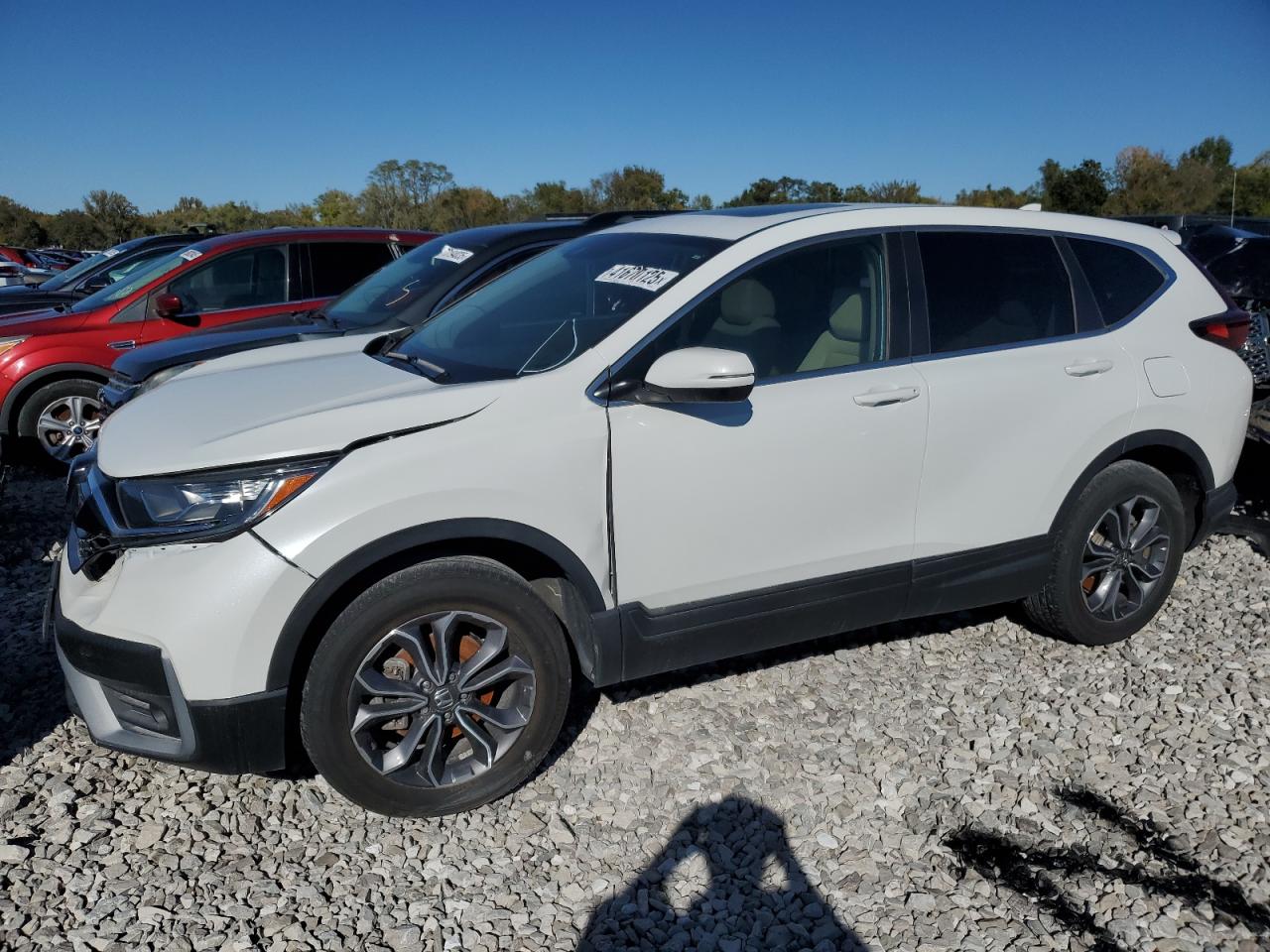 Honda Crv Exl Image 1