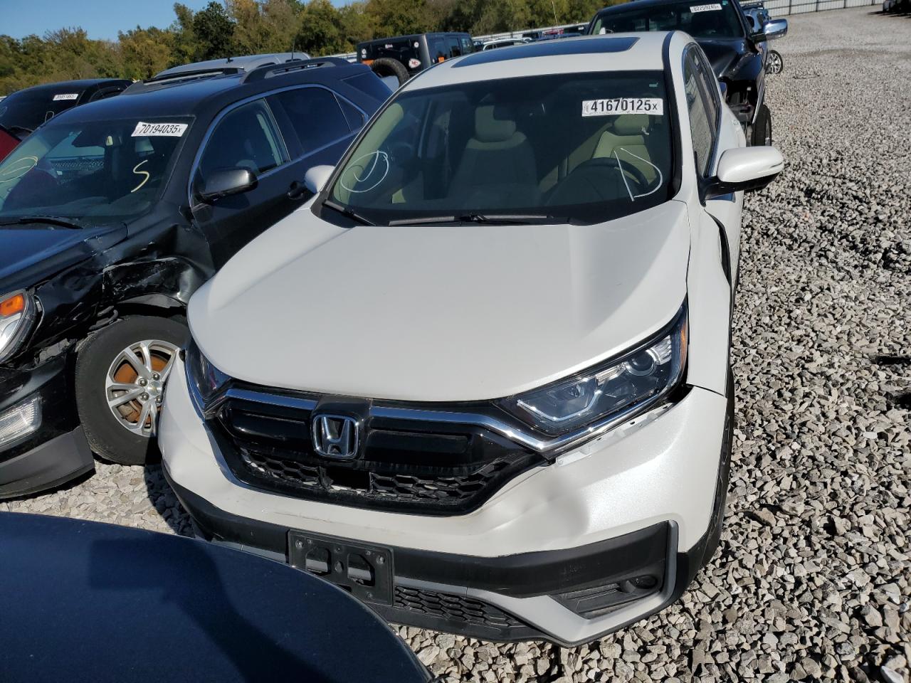 Honda Crv Exl Image 2