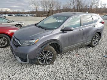  Salvage Honda Crv