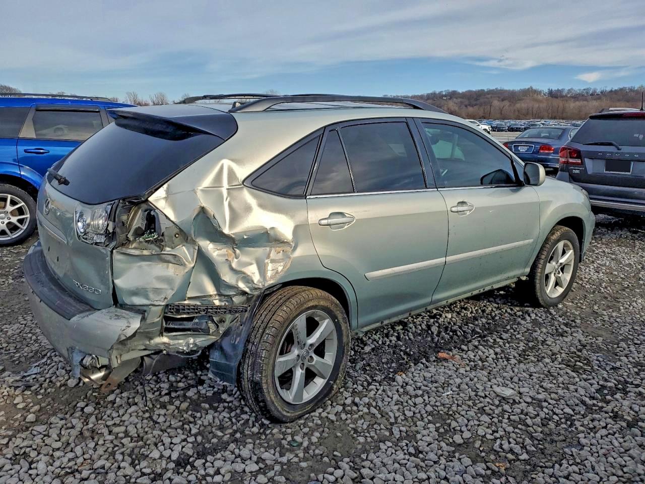 Lexus RX 330 Image 10