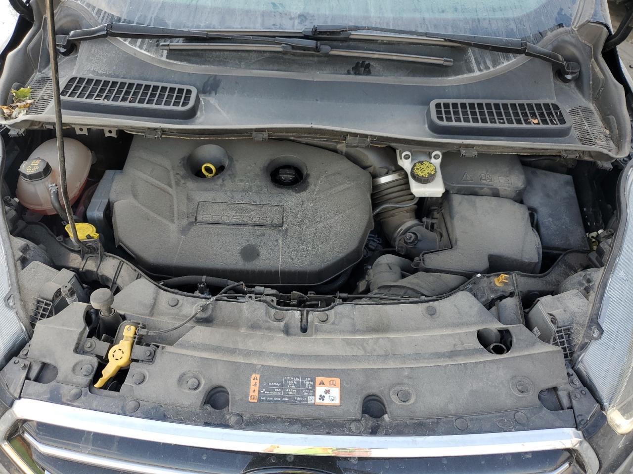 Ford Escape Titanium Image 9