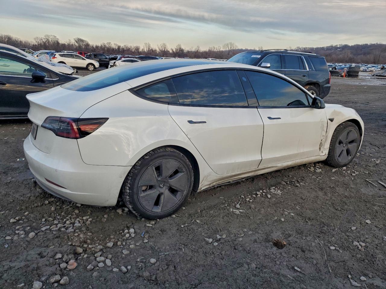 Tesla Model 3 Image 6