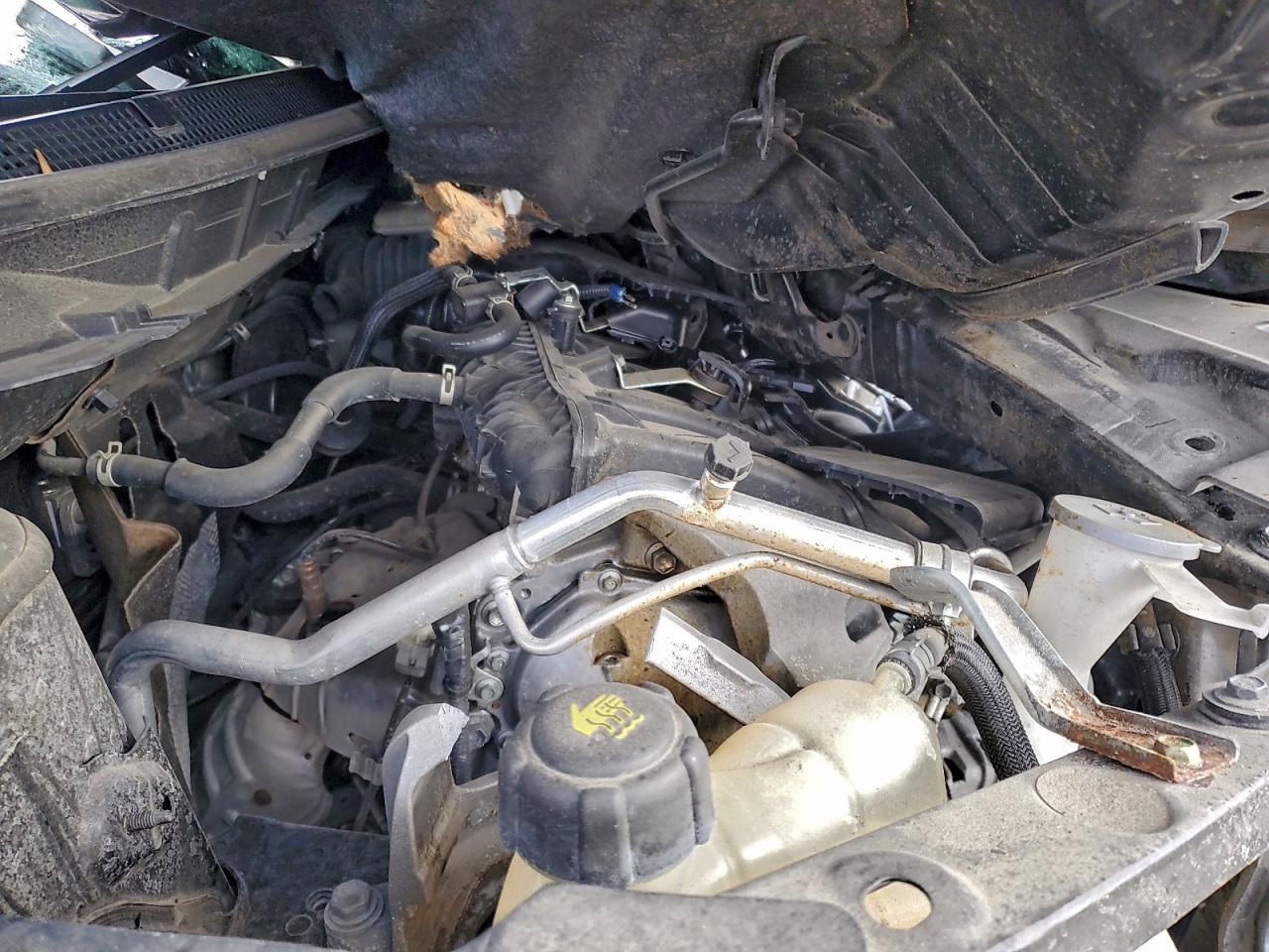 Nissan Rogue S Image 6