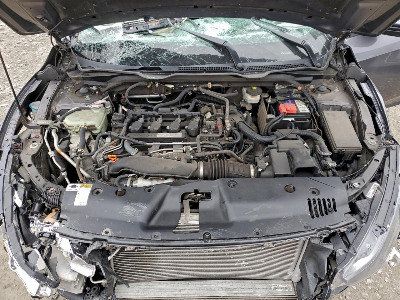 Honda Civic Ex Image 4