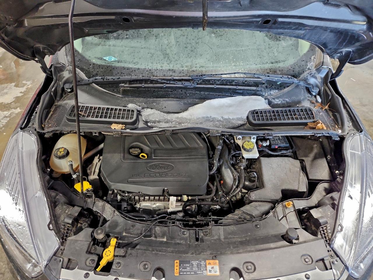 Ford Escape Se Image 5